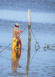 Fisherman at Champoton